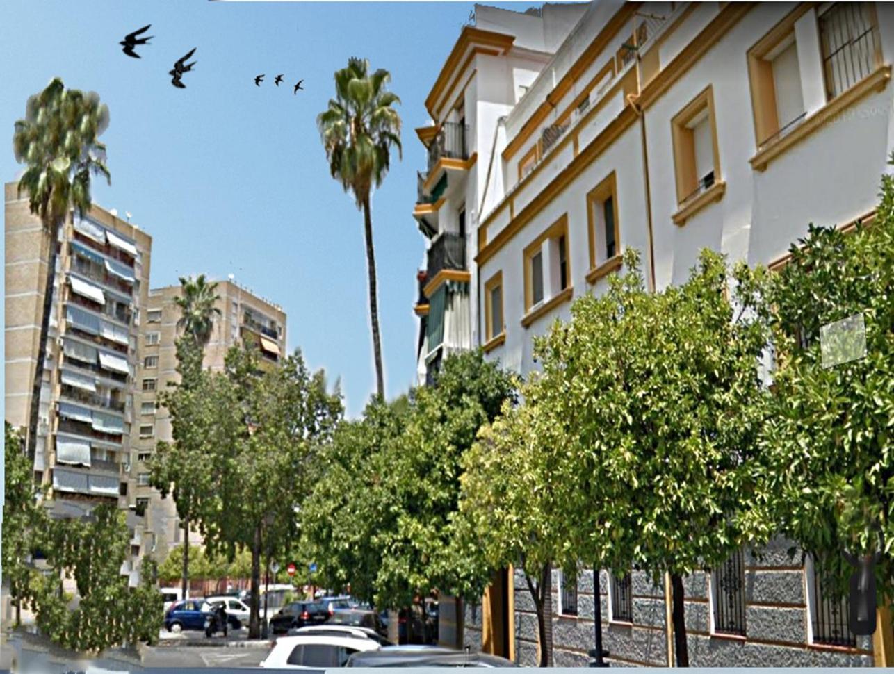 Apartment San Juan De Dios